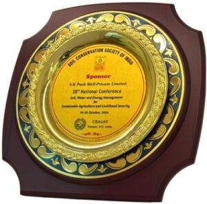 Award2-vk