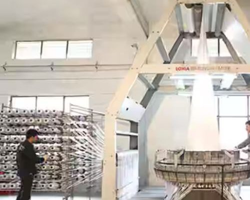 Untitled design (19)